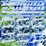 GolfPolo0436