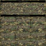 camo_0056
