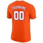 orange_0141